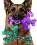 Dog Toys for Heavy-Chewing Dogs