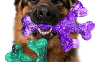 Dog Toys for Heavy-Chewing Dogs